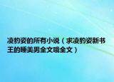 凌豹姿的所有小说（求凌豹姿新书王的睡美男全文哦全文）