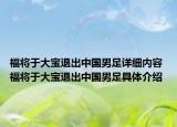 福将于大宝退出中国男足详细内容 福将于大宝退出中国男足具体介绍