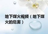 地下煤火视频（地下煤火的危害）