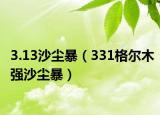 3.13沙尘暴（331格尔木强沙尘暴）
