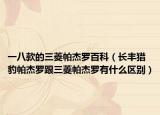 一八款的三菱帕杰罗百科（长丰猎豹帕杰罗跟三菱帕杰罗有什么区别）