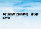 今日更新东北扁担钩是一种动物叫什么
