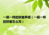 一模一样的拼音声调（一模一样的拼音怎么写）