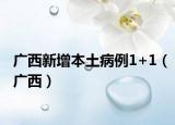 广西新增本土病例1+1（广西）