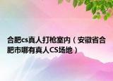 合肥cs真人打枪室内（安徽省合肥市哪有真人CS场地）