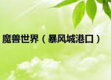 魔兽世界（暴风城港口）