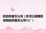 眨的拼音怎么写（眨可以组哪些词他的拼音怎么写\