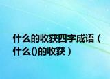 什么的收获四字成语（什么()的收获）