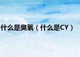 什么是臭氧（什么是CY）