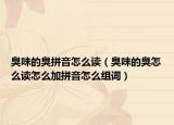 臭味的臭拼音怎么读（臭味的臭怎么读怎么加拼音怎么组词）