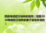 猎狐电视剧王柏林的结局（猎狐2019电视剧王柏林的妻子是谁扮演的）
