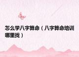 怎么学八字算命（八字算命培训哪里找）