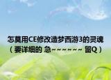 怎莫用CE修改造梦西游3的灵魂（要详细的 急~~~~~~ 留Q）
