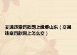 交通违章罚款网上缴费山东（交通违章罚款网上怎么交）