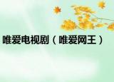 唯爱电视剧（唯爱网王）