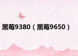 黑莓9380（黑莓9650）