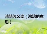 鸿鹄怎么读（鸿鹄的意思）