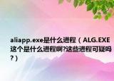 aliapp.exe是什么进程（ALG.EXE这个是什么进程啊?这些进程可疑吗?）