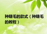 种睫毛的款式（种睫毛的教程）