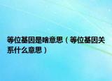 等位基因是啥意思（等位基因关系什么意思）