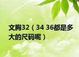 文胸32（34 36都是多大的尺码呢）