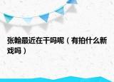 张翰最近在干吗呢（有拍什么新戏吗）