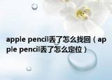 apple pencil丢了怎么找回（apple pencil丢了怎么定位）