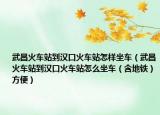 武昌火车站到汉口火车站怎样坐车（武昌火车站到汉口火车站怎么坐车（含地铁）方便）
