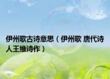 伊州歌古诗意思（伊州歌 唐代诗人王维诗作）