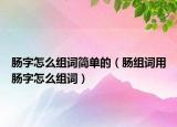 肠字怎么组词简单的（肠组词用肠字怎么组词）