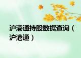 沪港通持股数据查询（沪港通）
