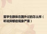 留学生群体在国外过的怎么样（听说抑郁症现象严重）
