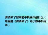 婆婆来了何琳的手机铃声是什么（电视剧《婆婆来了》刘小雅手机铃声）