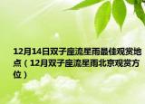 12月14日双子座流星雨最佳观赏地点（12月双子座流星雨北京观赏方位）
