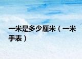 一米是多少厘米（一米手表）
