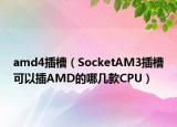 amd4插槽（SocketAM3插槽可以插AMD的哪几款CPU）