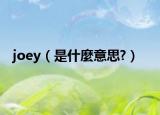 joey（是什麼意思?）