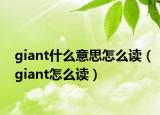 giant什么意思怎么读（giant怎么读）