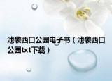 池袋西口公园电子书（池袋西口公园txt下载）