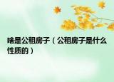 啥是公租房子（公租房子是什么性质的）