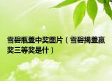 雪碧瓶盖中奖图片（雪碧揭盖赢奖三等奖是什）