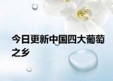 今日更新中国四大葡萄之乡