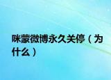 咪蒙微博永久关停（为什么）