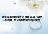 鹿的简笔画图片大全 可爱 简单（动物——驯鹿篇  怎么画驯鹿简笔画步骤图）