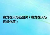 御龙在天马匹图片（御龙在天马匹炼化度）