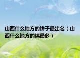 山西什么地方的饼子最出名（山西什么地方的煤最多）