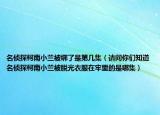 名侦探柯南小兰被绑了是第几集（请问你们知道名侦探柯南小兰被脱光衣服在牢里的是哪集）