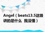Angel（beats13.5这级讲的是什么  我没懂）