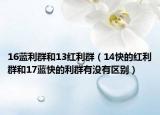 16蓝利群和13红利群（14快的红利群和17蓝快的利群有没有区别）