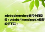adobephotoshop教程全面视频（AdobePhotoshop8.0视频教学下载）